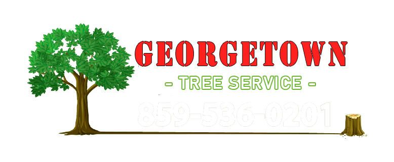 georgetown tree service