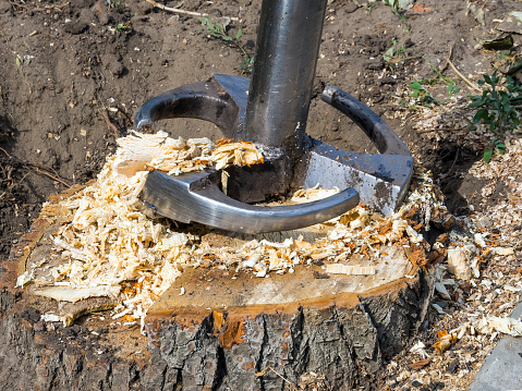 Stump removal technique